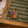 Chocolate Rabbit Ring