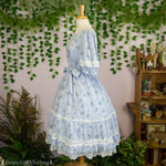 Blue Meadow Dress