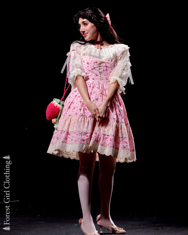 strawberries and cream dress Strawberries N Cream Corset Mini Dress
