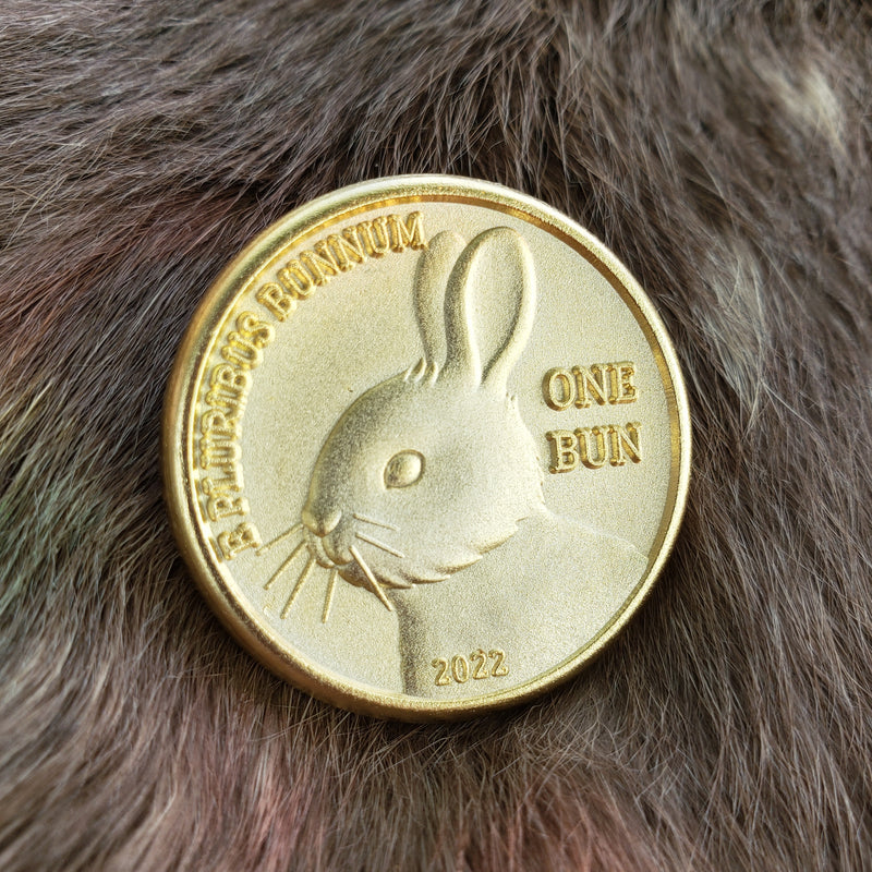 Bunny Munny Coin Pin